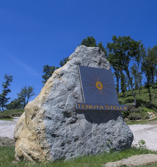 The Write Taste report on Tenuta Stella wines from Collio